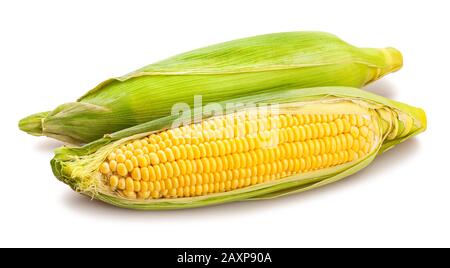 corn path isolated on white Stock Photo