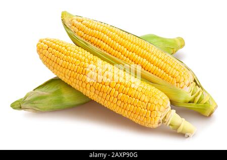 corn path isolated on white Stock Photo