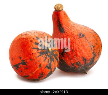 red kuri squash path isolated on white Stock Photo