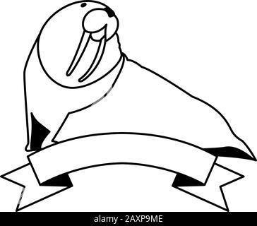 walrus sea animal on a white background vector illustration design Stock Vector