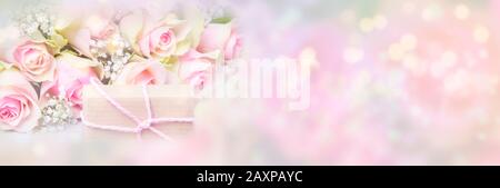 pink roses and gift on blurred background Stock Photo