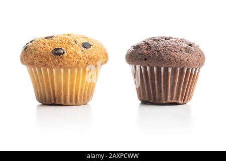 Sweet muffins. Cupcakes with chocolate isolated on white background. Stock Photo