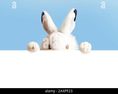 White easter rabbit with sheet for a text writing. Easter concept. Easter bunny Stock Photo
