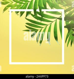 dark green tropical palm leaf on yellow background. Stock Photo