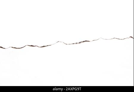 Paper burned old grunge on white background with clipping path Stock Photo