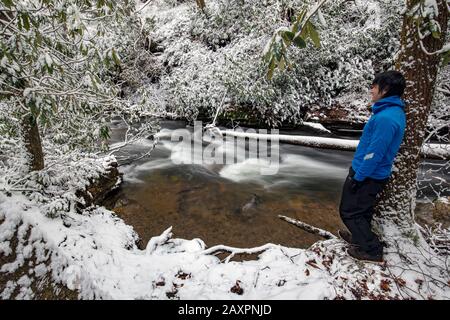 Hiker standing on the bank of Looking Glass Creek in winter - Pisgah National Forest, near Brevard, North Carolina, USA Stock Photo