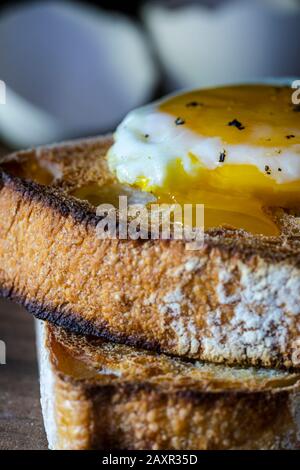 Egg breakfast on toast. Stock Photo