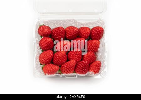 Fresh Asia Strawberry are arranged in premium packaging plastic box with bubble wrap inside on the white background. Clipping path. Stock Photo