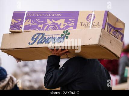 Chicago, USA. 12th Feb, 2020. An employee carries flowers for Valentine's Day at a floral wholesale market in Chicago, the United States, on Feb. 12, 2020. With Valentine's Day being one of their busiest weeks of the year, employees of floral wholesale markets in Chicago work hard to meet the demand of customers. Credit: Joel Lerner/Xinhua/Alamy Live News Stock Photo