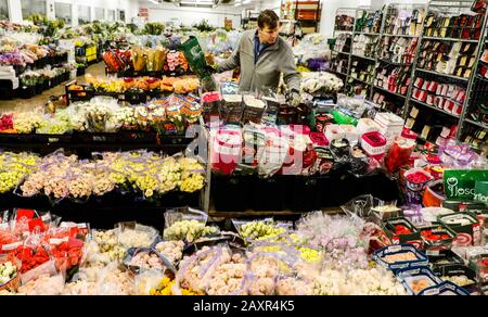 Chicago, USA. 12th Feb, 2020. An employee prepares flowers for Valentine's Day at a floral wholesale market in Chicago, the United States, on Feb. 12, 2020. With Valentine's Day being one of their busiest weeks of the year, employees of floral wholesale markets in Chicago work hard to meet the demand of customers. Credit: Joel Lerner/Xinhua/Alamy Live News Stock Photo