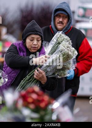 Chicago, USA. 12th Feb, 2020. Employees prepare flowers for Valentine's Day at a floral wholesale market in Chicago, the United States, on Feb. 12, 2020. With Valentine's Day being one of their busiest weeks of the year, employees of floral wholesale markets in Chicago work hard to meet the demand of customers. Credit: Joel Lerner/Xinhua/Alamy Live News Stock Photo