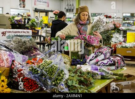 Chicago, USA. 12th Feb, 2020. A customer selects flowers at a floral wholesale market in Chicago, the United States, on Feb. 12, 2020. With Valentine's Day being one of their busiest weeks of the year, employees of floral wholesale markets in Chicago work hard to meet the demand of customers. Credit: Joel Lerner/Xinhua/Alamy Live News Stock Photo