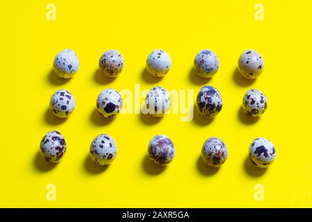 Many quail eggs on a yellow background,quail eggs design concept, flat lay, view from above. Stock Photo