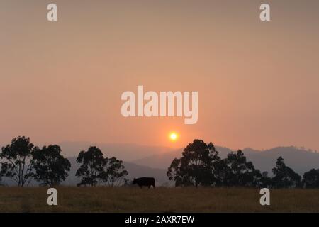 Sunset through bushfire smoke in January 2019 near Margate in countryside Tasmania, Australia Stock Photo