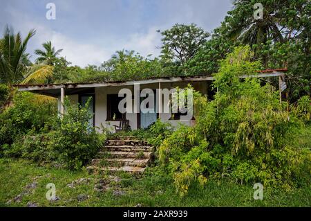One of many abandoned houses being reclaimed by nature on the south pacific island of Niue. Stock Photo
