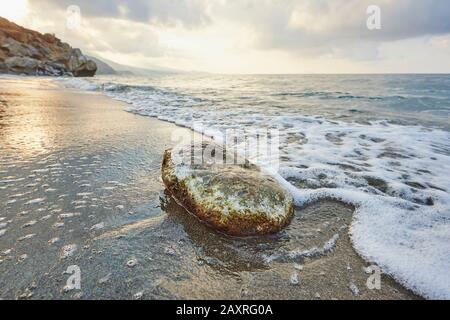 Landscape, pebble at the seaside at Preveli beach, Crete, Greece Stock Photo