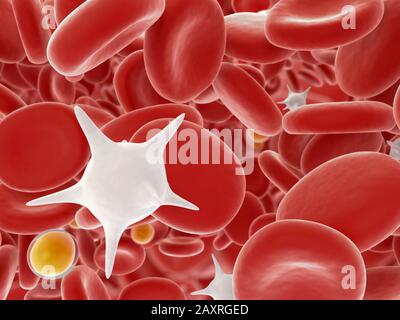 Abstract red and white blood cells illustration, scientific or medical or microbiological background. Stock Photo