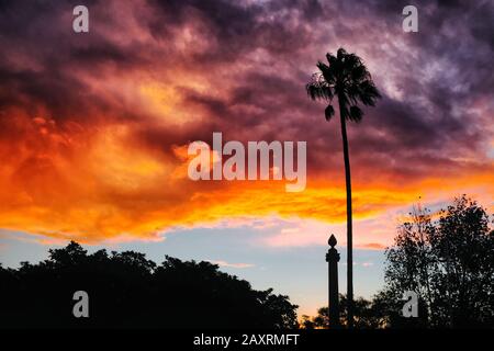 A tall single tall palm tree beside a war memorial column silhouetted against a dramatic burnt orange and purple clouds, in a clouded evening sky Stock Photo