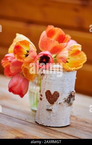 Tulip bouquet, garden tulips, Tulipa Gesneriana, flowers, spring Stock Photo
