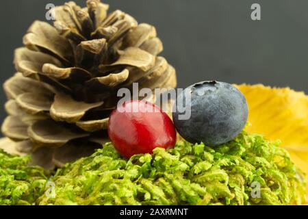 Autumn or fall still life with blueberry and cranberry, pine cone and colorful yellow leaf resting on a bed of fresh green moss in close up conceptual Stock Photo
