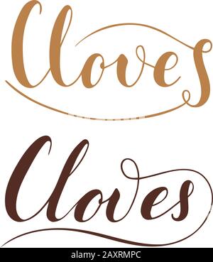 Vector hand written cloves text isolated on white background. Kitchen healthy herbs and spices for cooking. Script brushpen lettering with flourishes. Stock Vector
