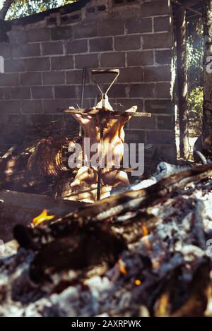 Traditional suckling pig cooked on the charcoal grill. The little pig is roasted whole on an open fire. Organic pig on the spit. Stock Photo