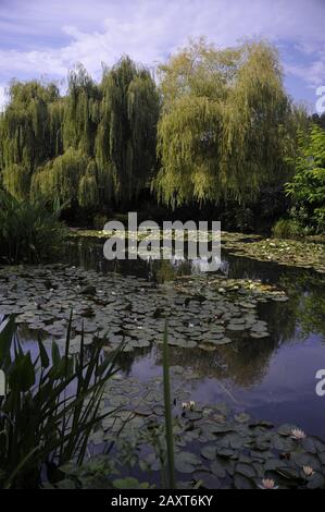 60+ Monet Teich Mit Seerosen, Am häufigsten malte monet den