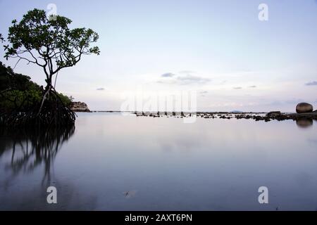 Mangrove bay at Cempedak Private Island Resort, Bintan, Indonesia Stock Photo