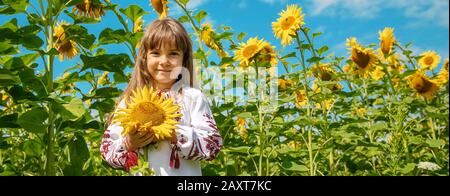 A child in a field of sunflowers in an embroidered shirt. Ukrainian. Selective focus. Stock Photo