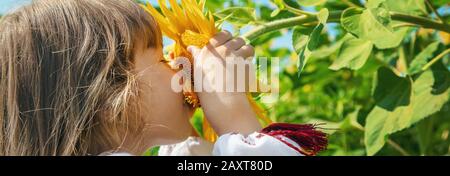 A child in a field of sunflowers in an embroidered shirt. Ukrainian. Selective focus. Stock Photo