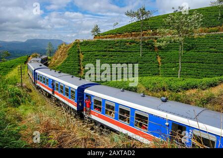 Nanu Oya, Sri Lanka - January 2020: Train passing between tea plantations at the exit of Nanu Oya station on January 23, 2020 in Nanu Oya, Sri Lanka. Stock Photo