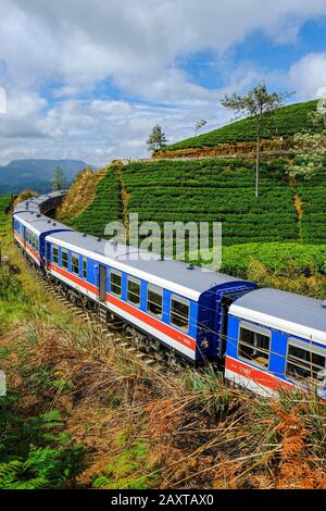 Nanu Oya, Sri Lanka - January 2020: Train passing between tea plantations at the exit of Nanu Oya station on January 23, 2020 in Nanu Oya, Sri Lanka. Stock Photo