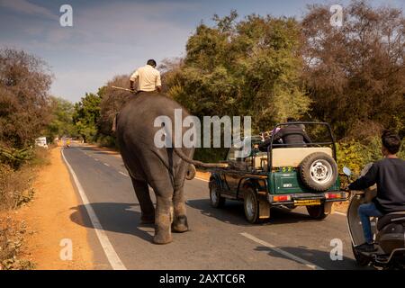 India, Rajasthan, Sawai Madhopur, Maruti Suzuki gypsy jeep overtaking elephant on road to Ranthambhore National Park Stock Photo