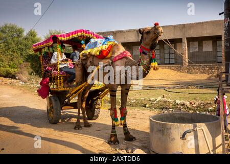 India, Rajasthan, Ranthambhore, Khilchipur, decorated camel-pulled wedding carriage Stock Photo
