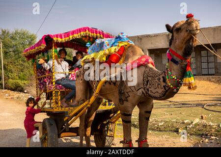 India, Rajasthan, Ranthambhore, Khilchipur, decorated camel-pulled wedding carriage Stock Photo
