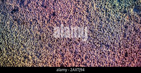 Porous surface closeup. Abstract background with filter Stock Photo