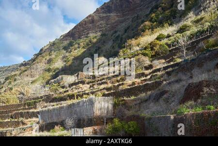 The Madeiran Village of Joadim Do Mar (literally 'garden of the sea') western Madeira, Portugal, EU Stock Photo