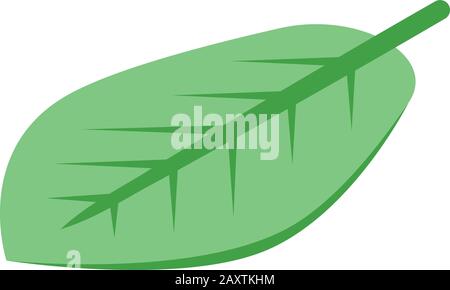 Cocoa leaf icon, isometric style Stock Vector