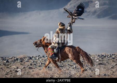 Kazakh berkut hunting western Mongolia Golden eagle festival horse riding Stock Photo
