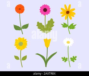 Set of colorful flower in spring season. Vector illustration flat lay flowers element. Stock Vector