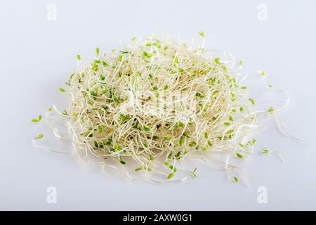 Pile of fresh alfalfa sprouts on white background. Healthy diet superfood and micro green eating concept. Stock Photo