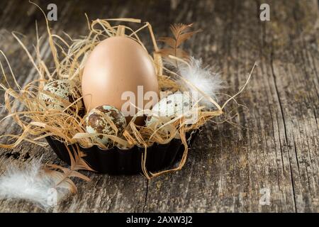 Easter eggs with feather on rustic  table. Fresh country eggs with straw. Happy Easter Stock Photo