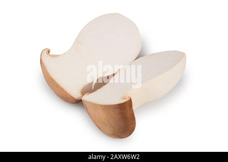 Studio shot of King Oyster mushroom cut out against a white background - John Gollop Stock Photo