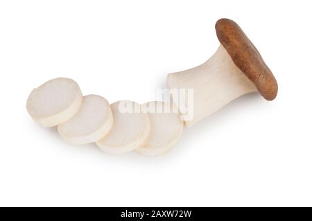 Studio shot of King Oyster mushroom cut out against a white background - John Gollop Stock Photo