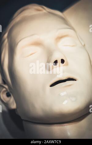 One Layout medical mannequin face man with open mouth close-up, medical exhibit Stock Photo