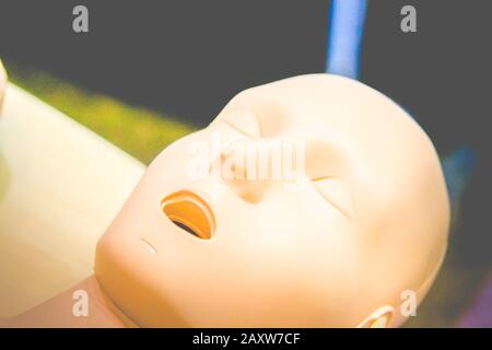 One Layout medical mannequin face man with open mouth close-up, medical exhibit Stock Photo