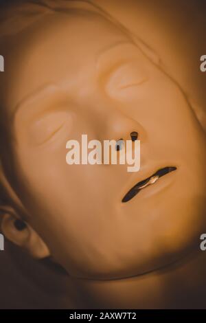 One Layout medical mannequin face man with open mouth close-up, medical exhibit Stock Photo