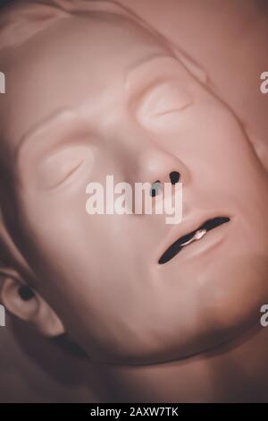 One Layout medical mannequin face man with open mouth close-up, medical exhibit Stock Photo