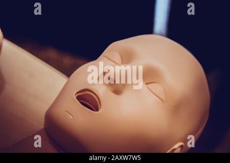 One Layout medical mannequin face man with open mouth close-up, medical exhibit Stock Photo