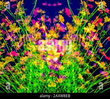 Multicolored flowers - abstract. Stock Photo